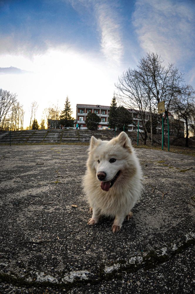 Photograph by Сергей Золотоверхий