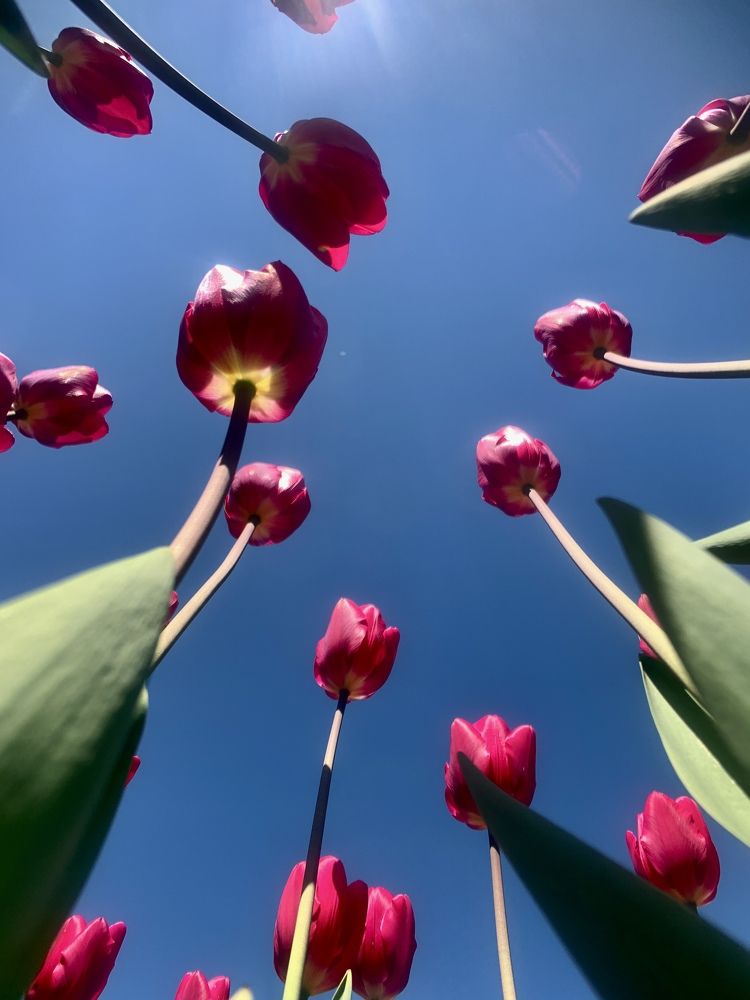 Photograph by Ксения Максименко