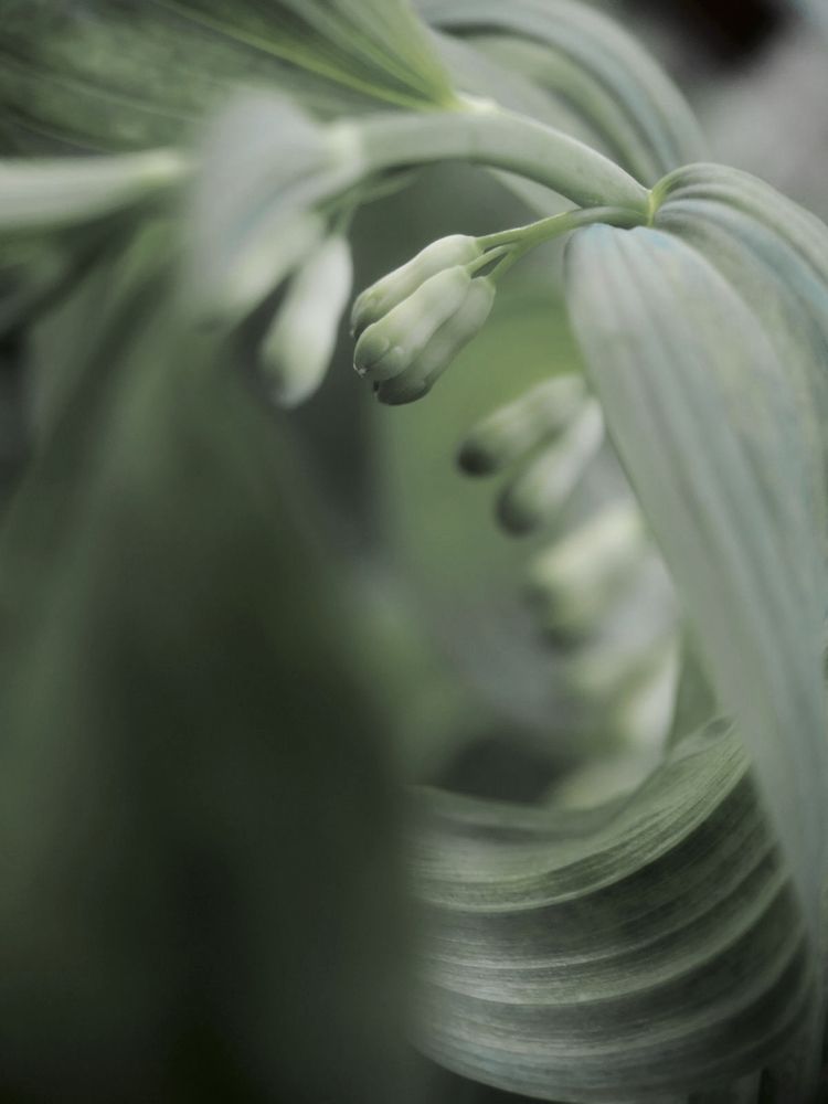 Photograph by Ксения Максименко