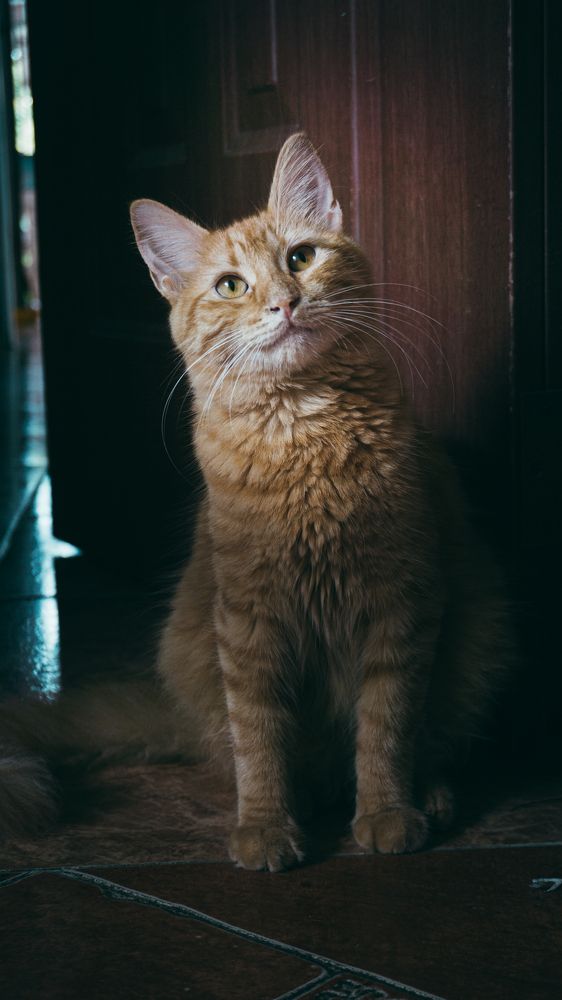 Фотография автора Grace