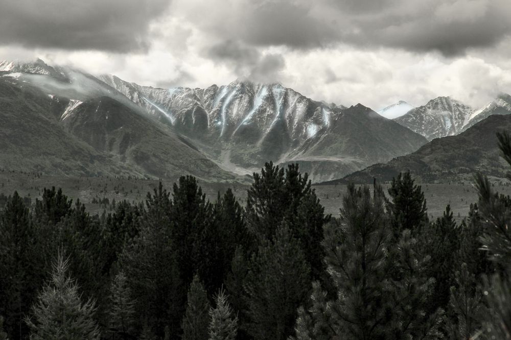 Photograph by федотов Алексей