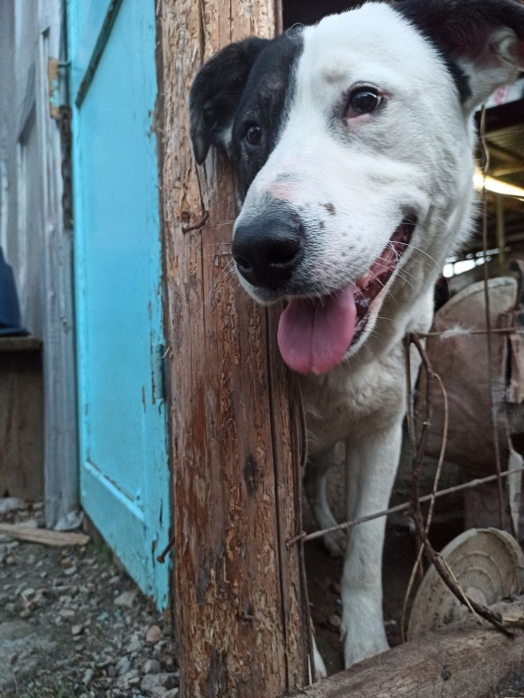 Фотография автора Татьяна Долгушева