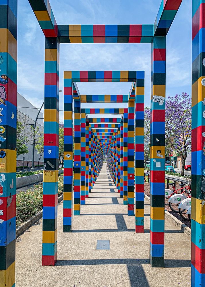 Photograph by Juan Carlos Molina Montes de Oca