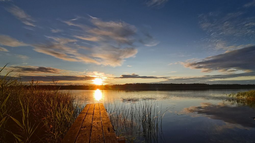 Фотография автора Анатолий Дауров