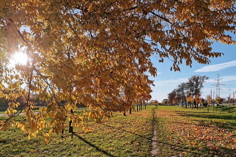 Фотография автора Анатолий Дауров