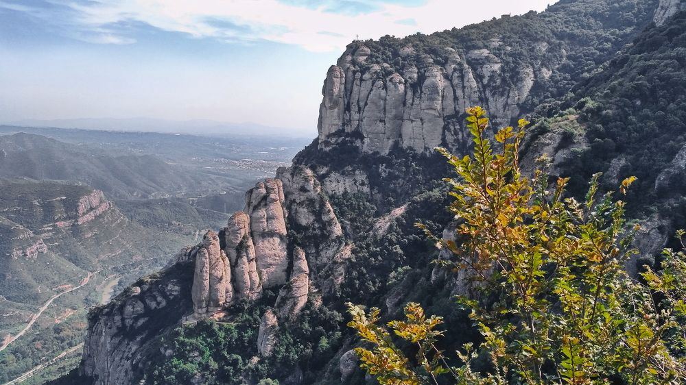 Фотография автора Анатолий Дауров