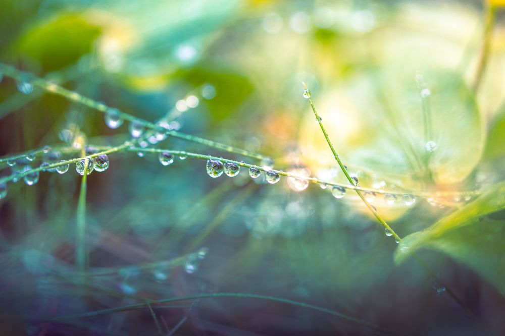 Photograph by Парфентьев Антон