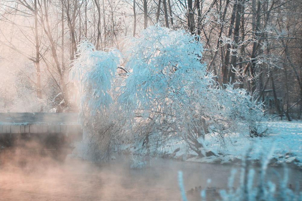 Photograph by Давлеева Эльза