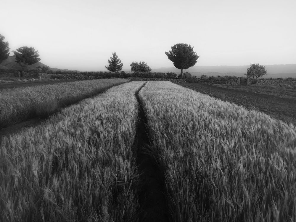 Photograph by Akhoondi Hannaneh