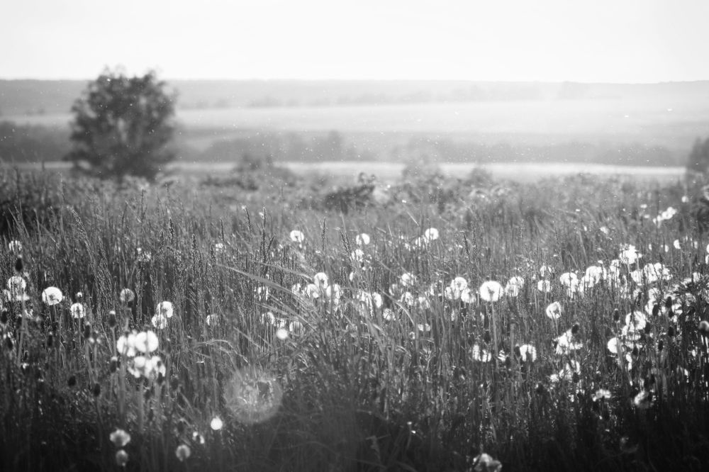 Photograph by Давлеева Эльза