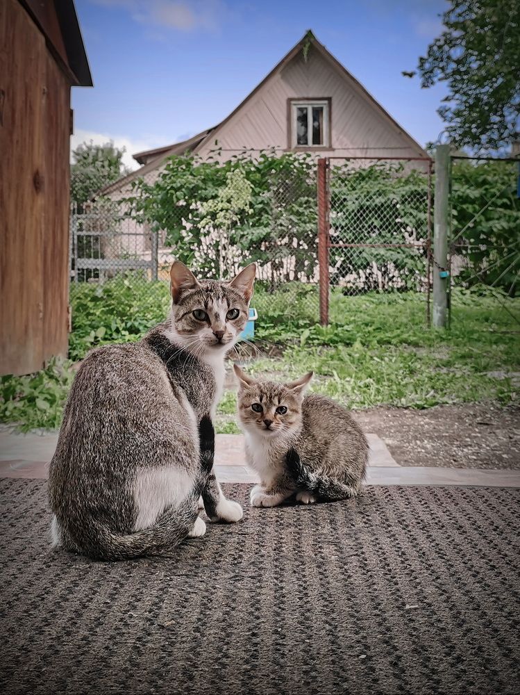 Фотография автора Анатолий Дауров