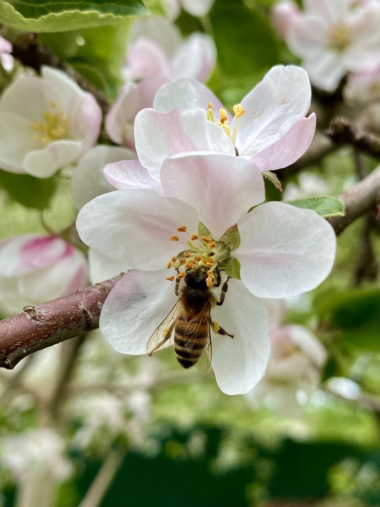 Photograph by Владимир Гвозд