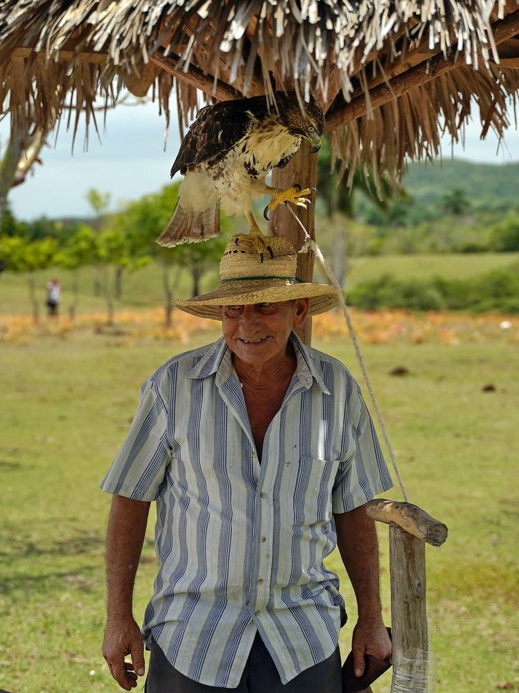 Фотография автора Анатолий Дауров