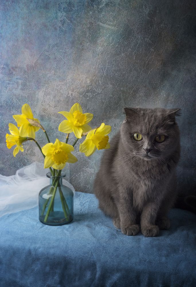 Photograph by Tatiana Kravchuk