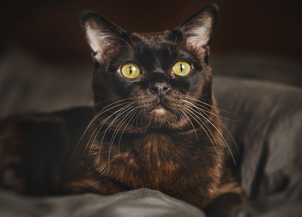 Фотография автора Helena