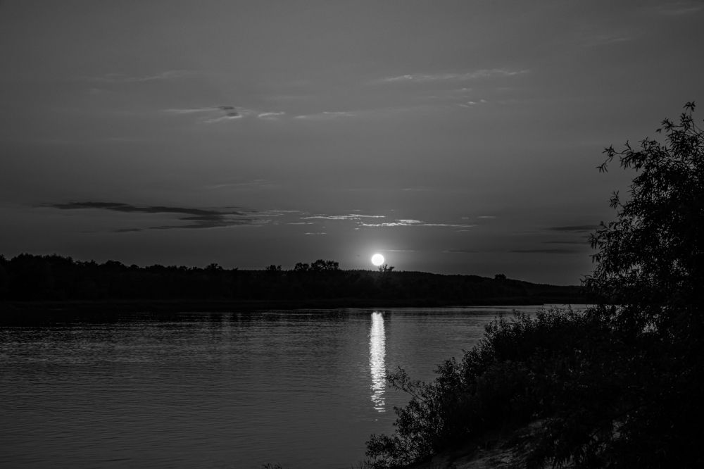 Фотография автора Лукашенко Ольга