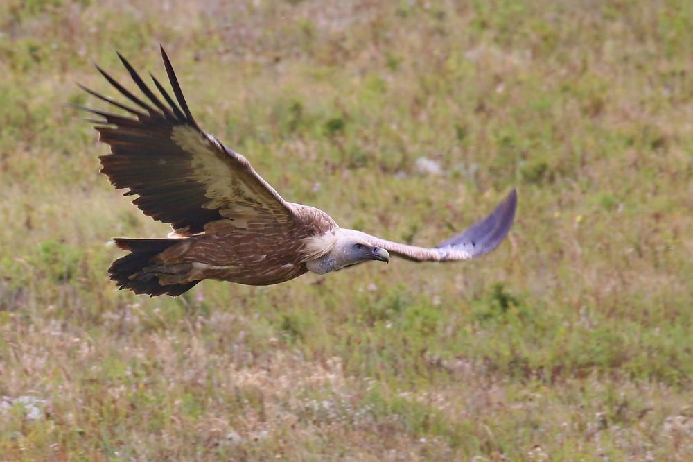 Photograph by Григорий Прокопов