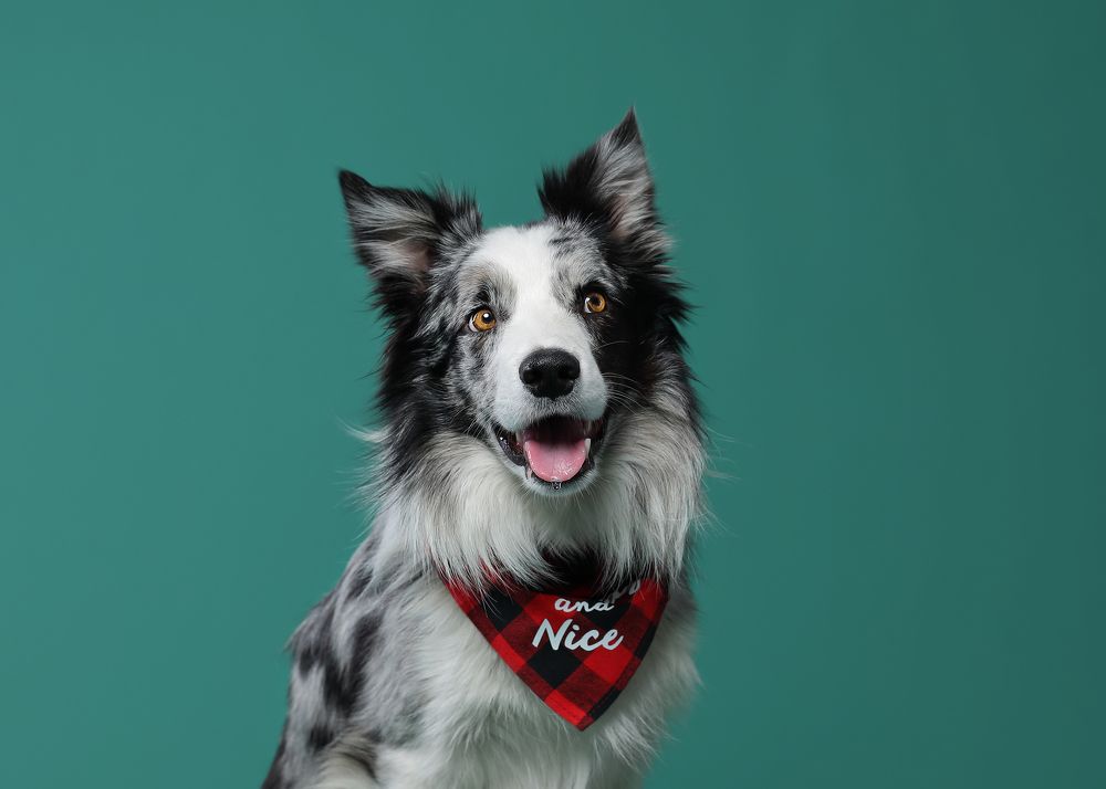 Photograph by Жаренко Евгения