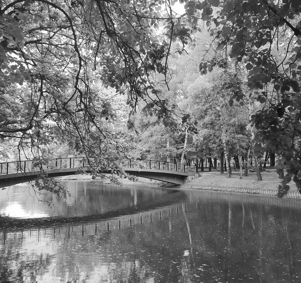 Photograph by Litvinova Ann