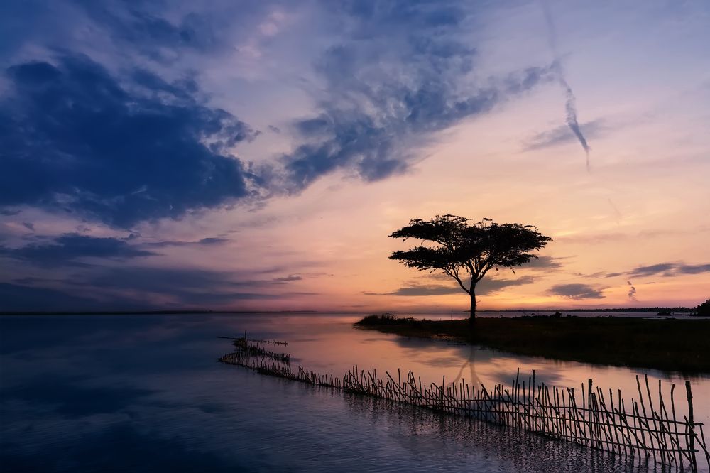 Photograph by Shahariar Alam