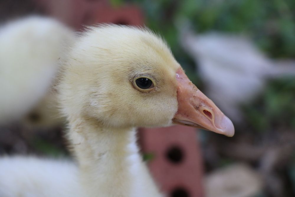 Photograph by Lesly Grace Advincula