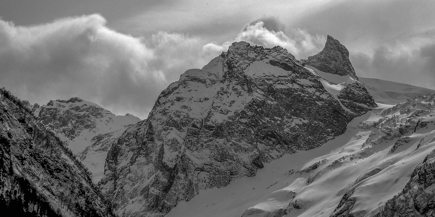 Photo #7589443