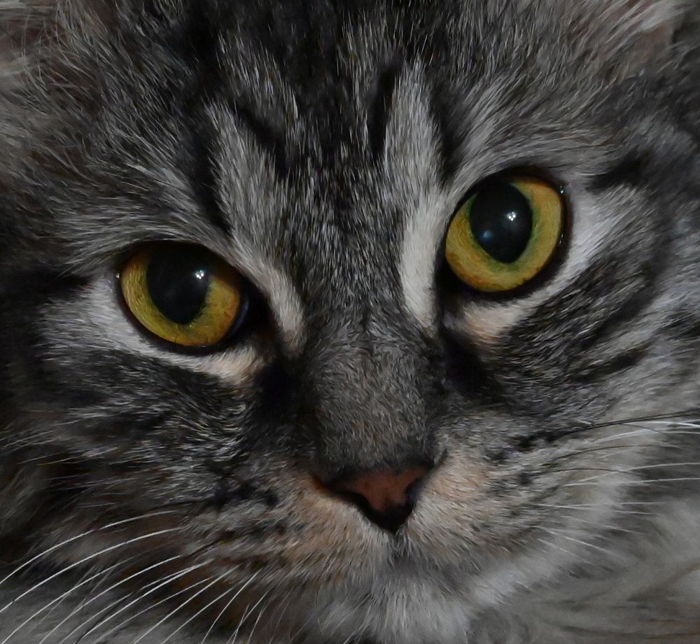 Этот взгляд...