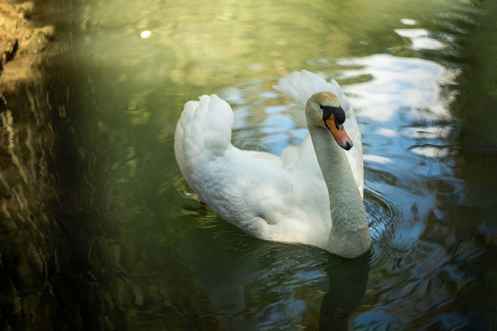 Photograph by Ольга Крестьянинова