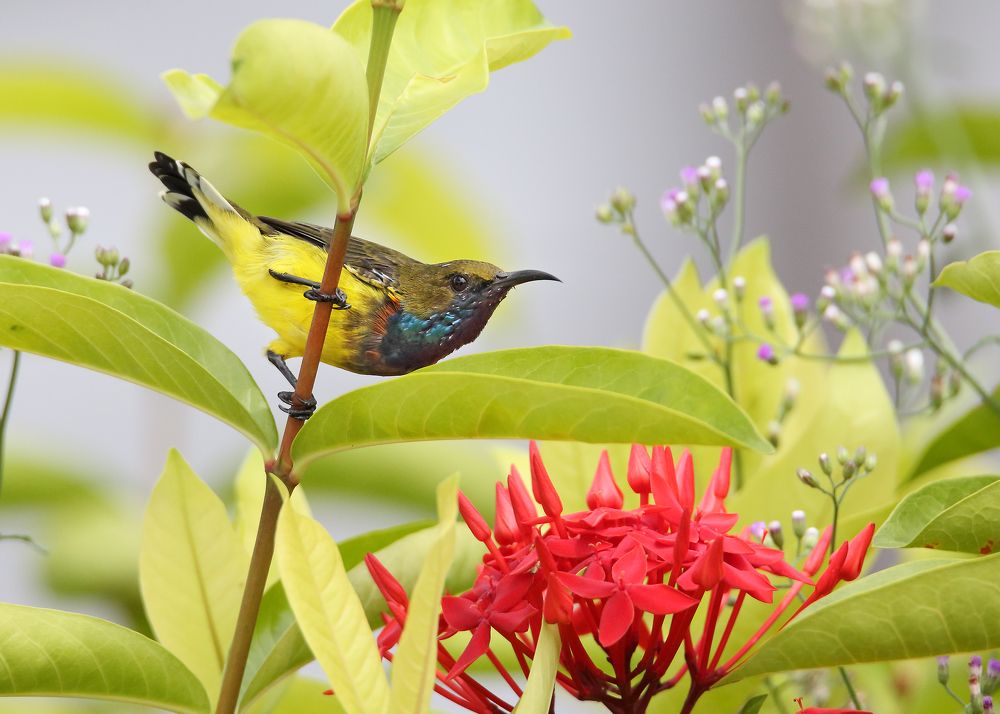 Photograph by Xuan Quyen Nguyen