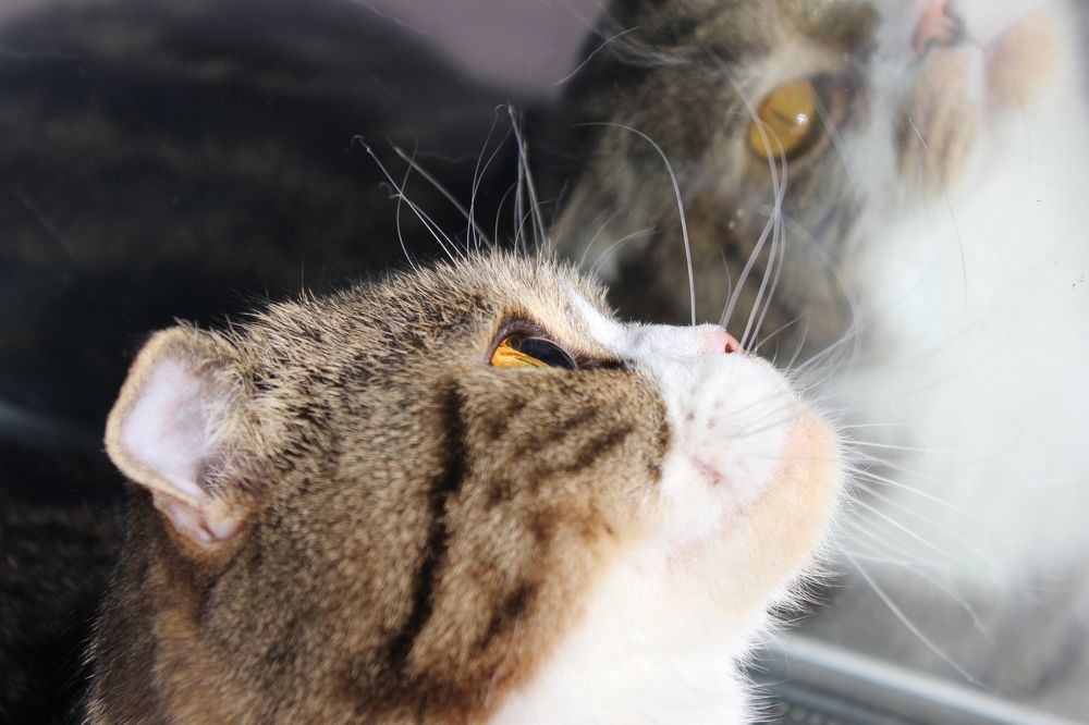 Photograph by Люция Кутлугужина