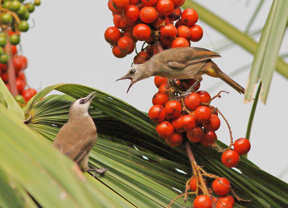Photograph by Xuan Quyen Nguyen