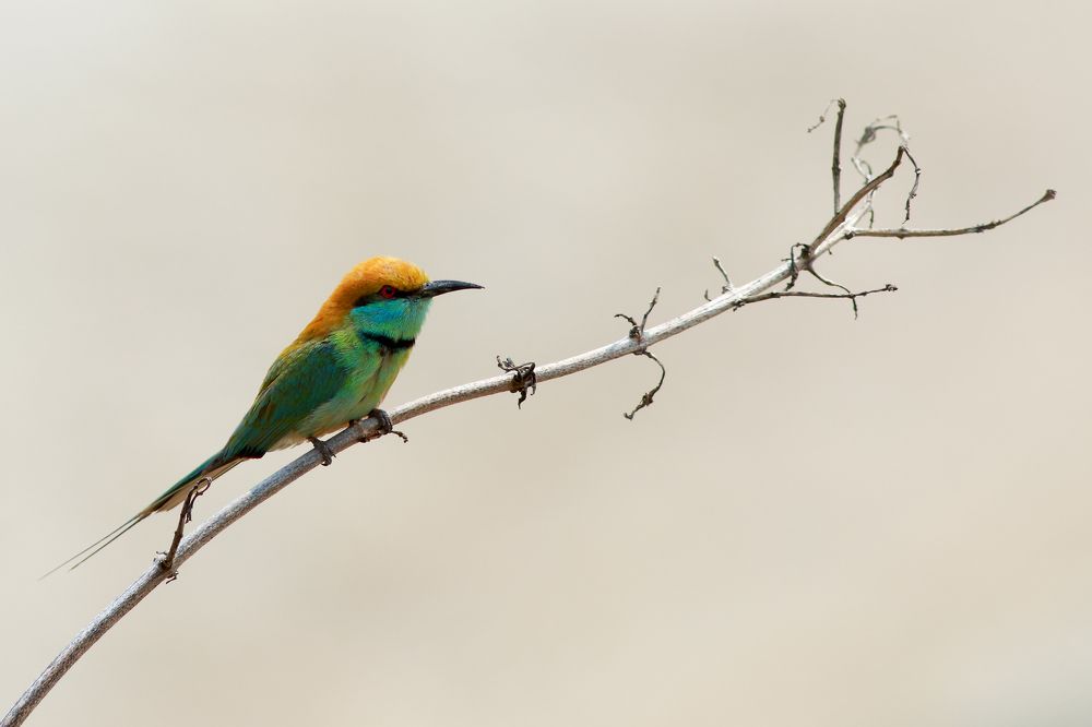 Photograph by Xuan Quyen Nguyen