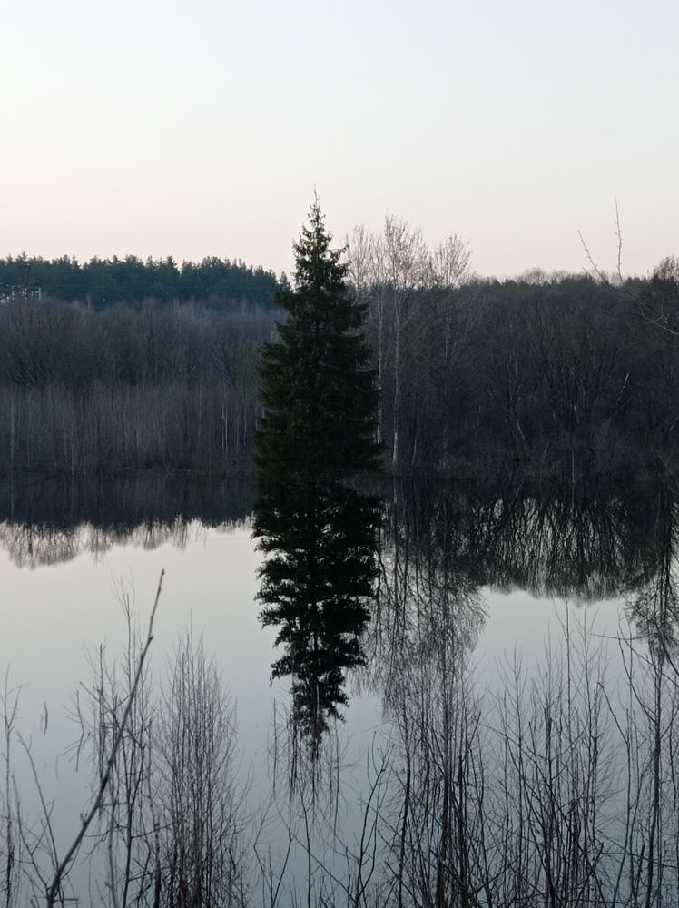 Photograph by Максим Ушаков