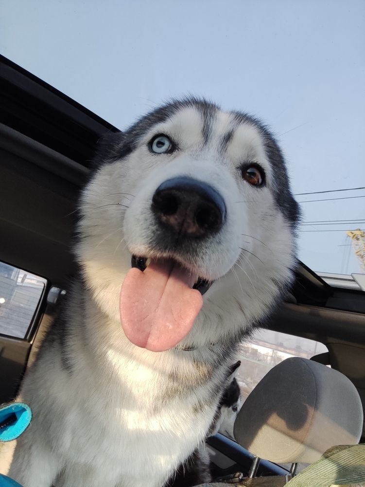 Photograph by Евгений Захаров