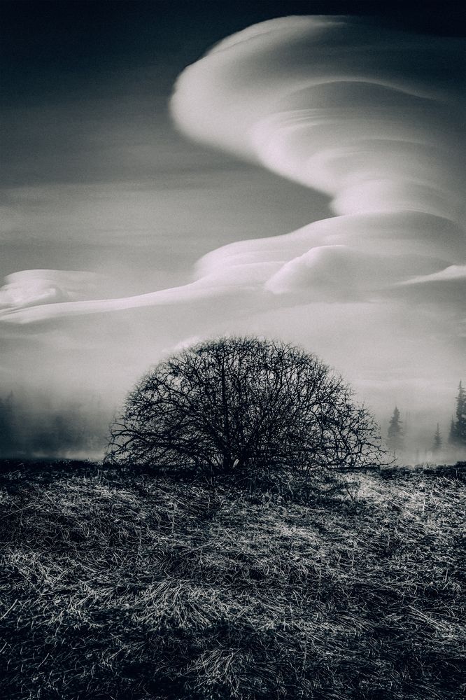 Photograph by Артем Грачев