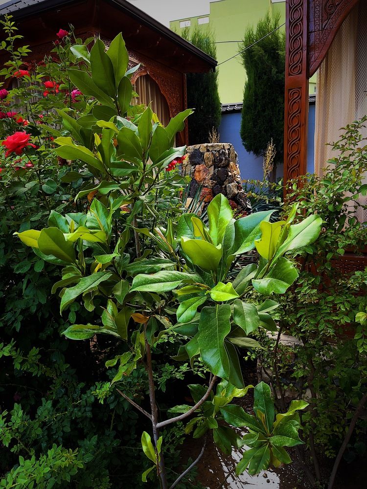 Photograph by Кирилл Талалаев