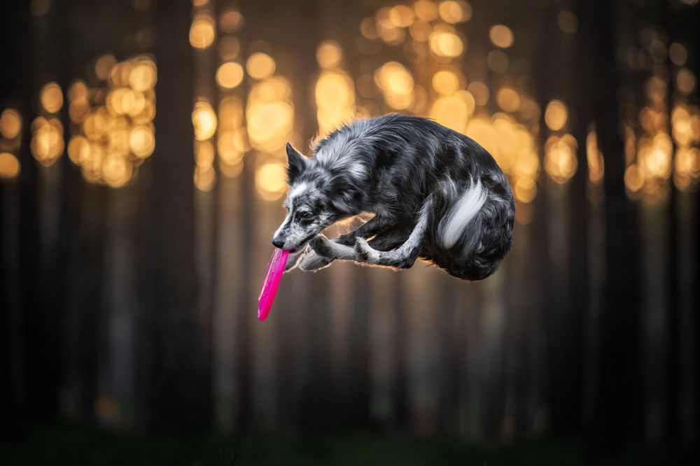 Photograph by Izabela Lyson