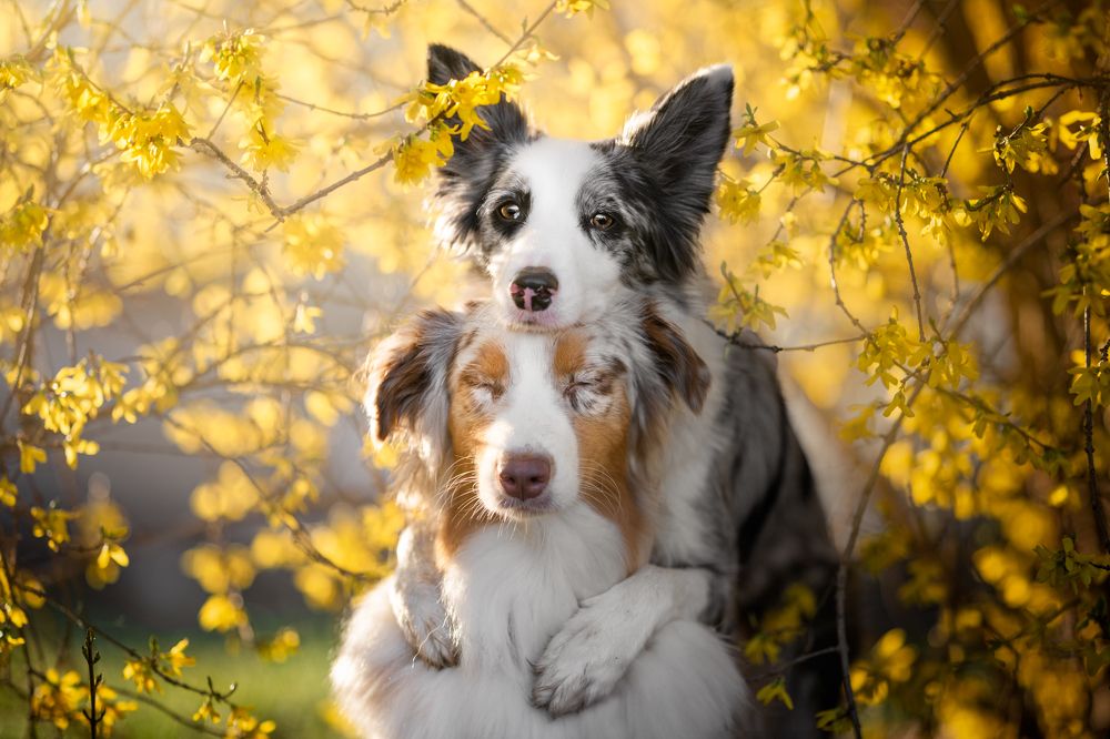 Photograph by Izabela Lyson