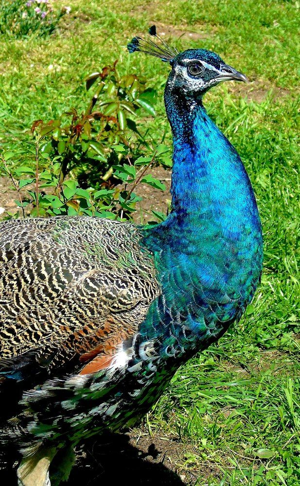 Photograph by Ольга Хромова