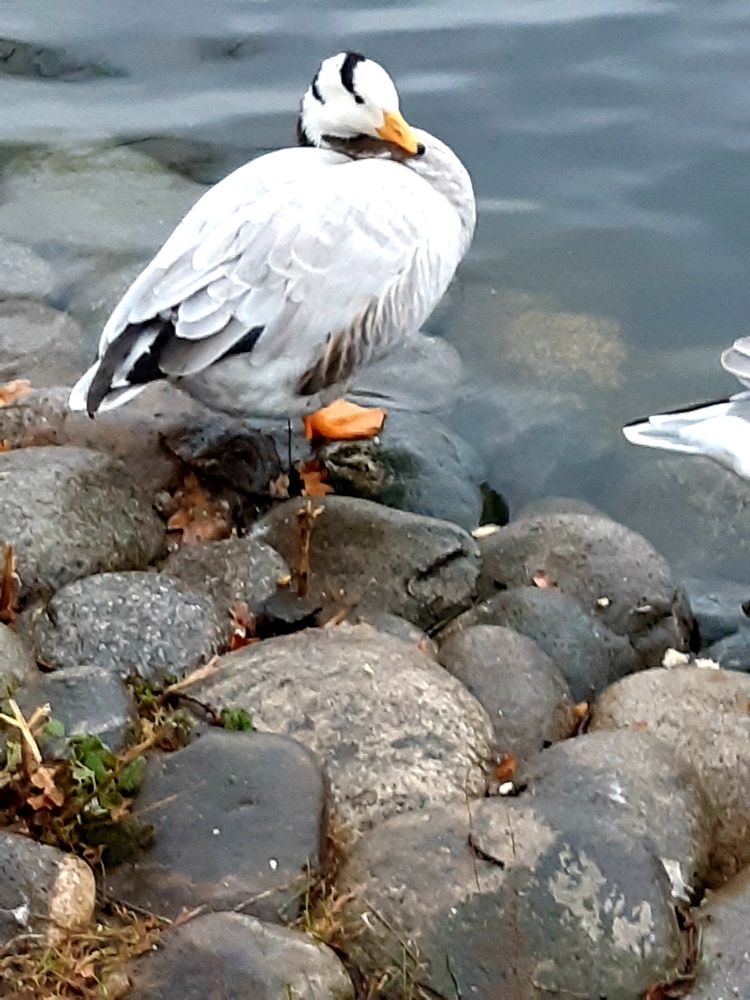 Photograph by Ольга Хромова