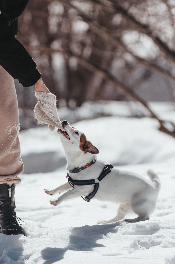 Photograph by Даниил Попков