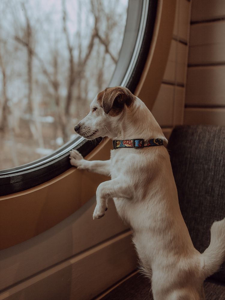 Photograph by Даниил Попков