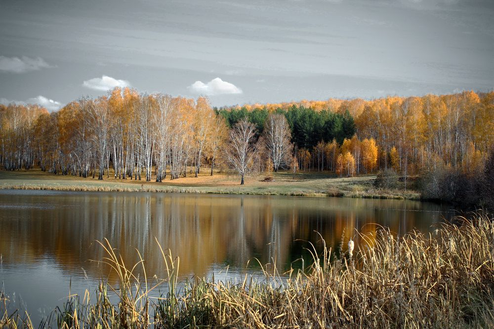 Photograph by Владимир Полотов