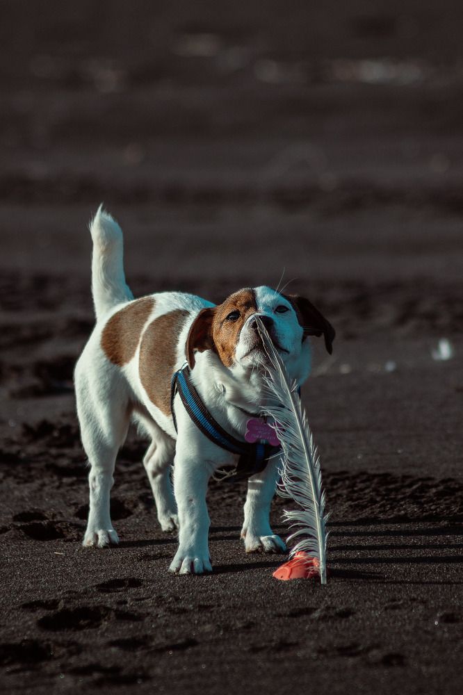 Photograph by Даниил Попков