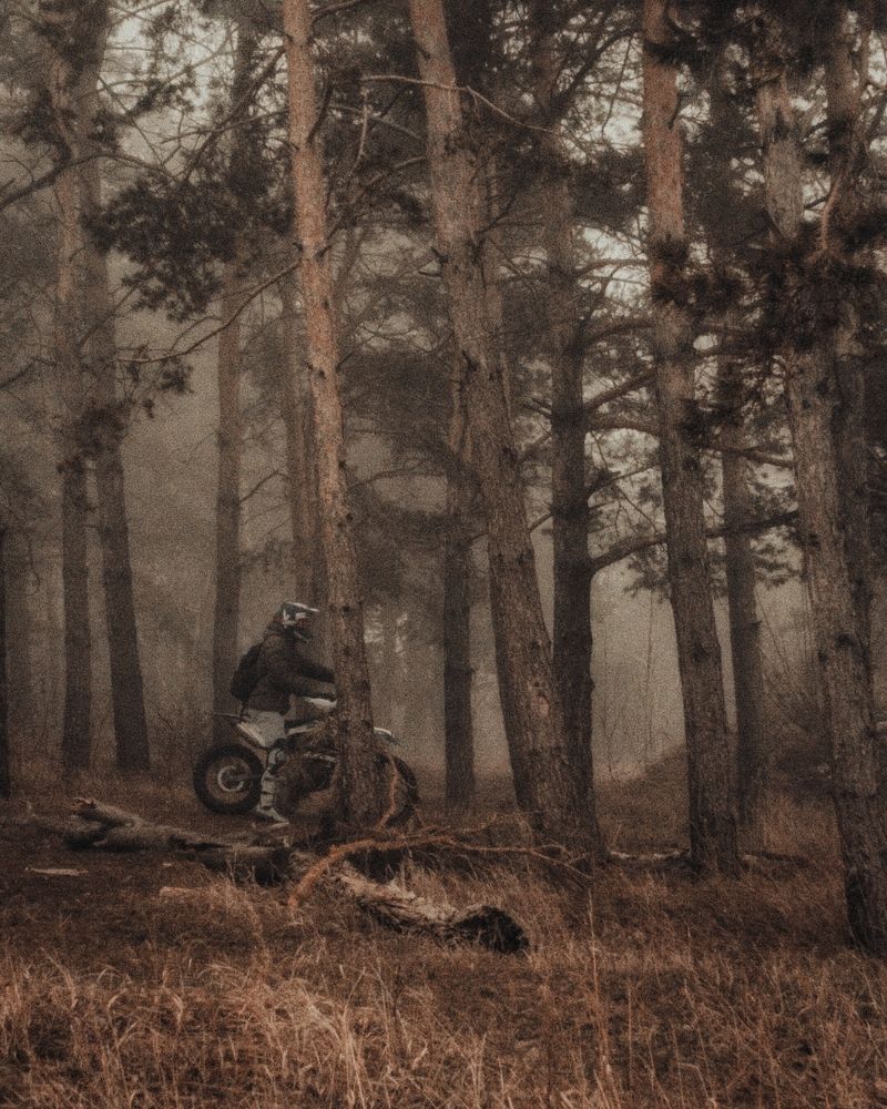 Photograph by Дмитрий Кашиков