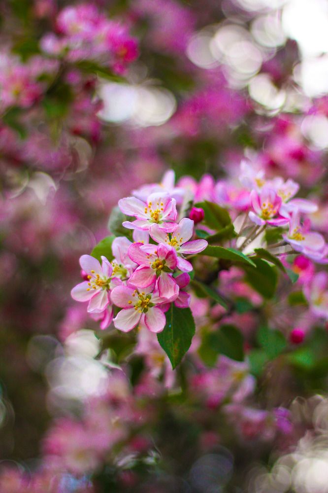 Photograph by Жанна Цветкова