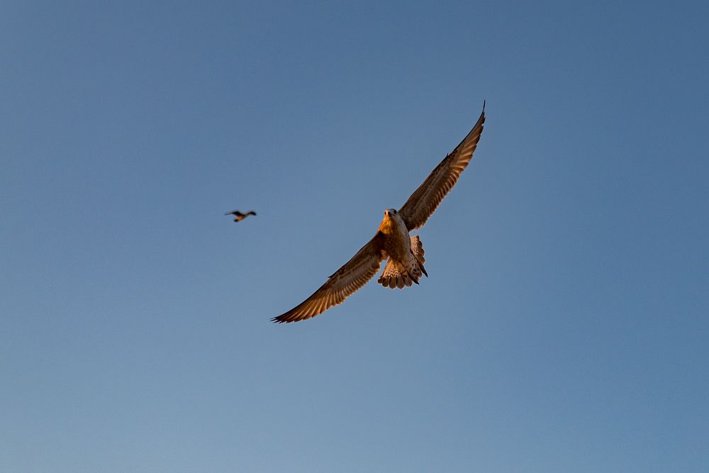 Photograph by Артём Самусенко