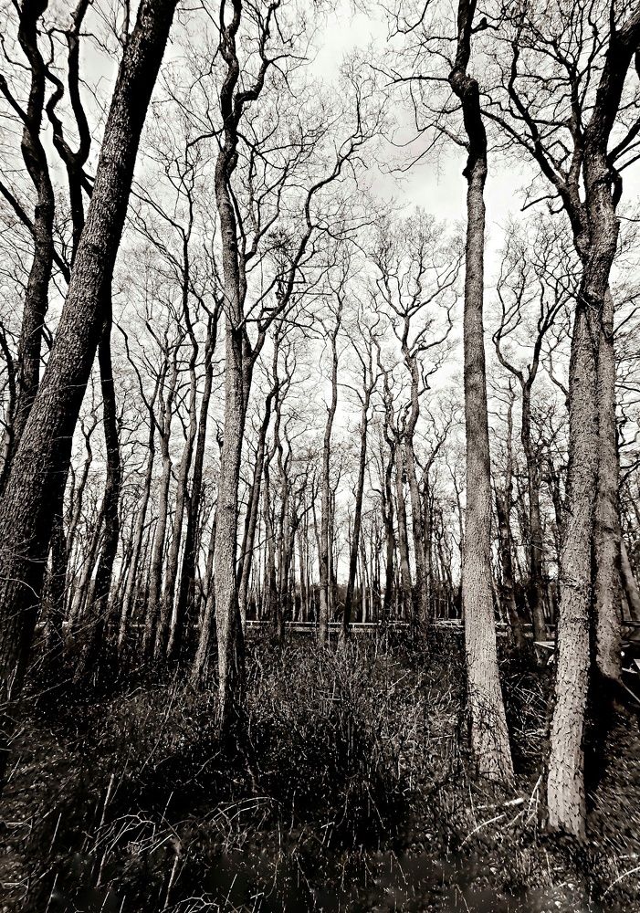 Photograph by Наталия Березина