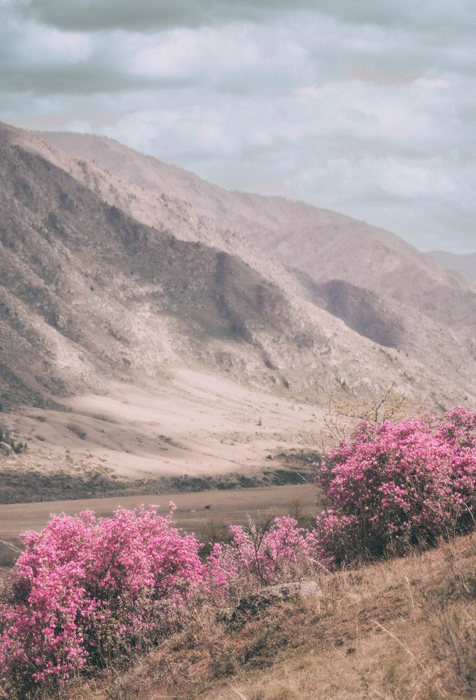 Photograph by Терентьев Георгий