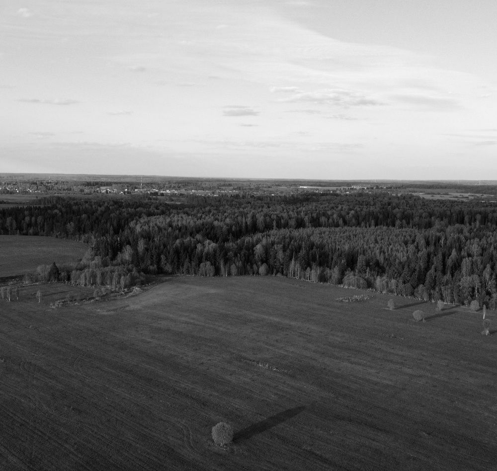 Photograph by Николай Тышкунов